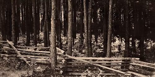 NCMH Pop-Up: White Deer Park Nature Center Discovery Day