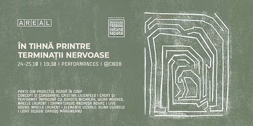 \u00cen tihn\u0103 printre termina\u021bii nervoase | Performance @ CNDB