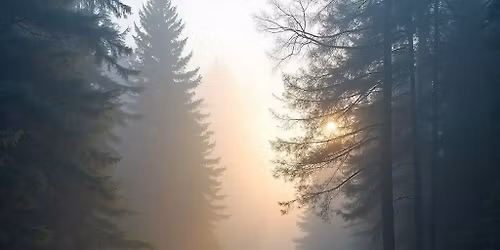 Crossing with Intention: Honoring Life\u2019s Thresholds