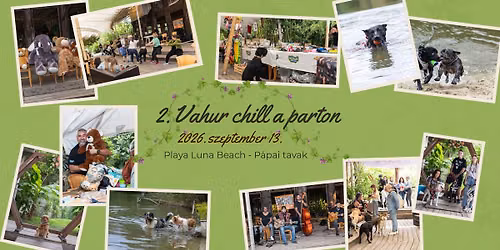 2. Vahur chill a parton - j\u00f3t\u00e9konykod\u00e1s az \u00e1rva kuty\u00e1k\u00e9rt a Playa Lun\u00e1n 