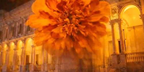 ROOTS, Sleeping Beauty a Symbiotic Symphony