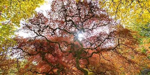 Fall Public Tour