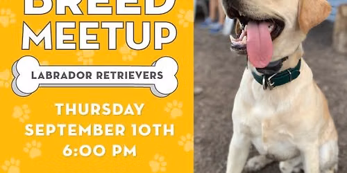 Breed Meetup: Labrador Retrievers
