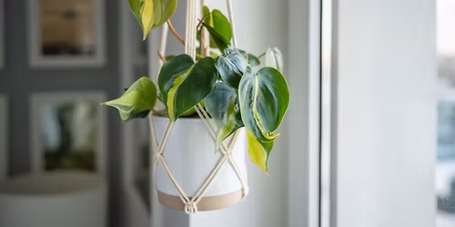 Macrame Leaf Hanging