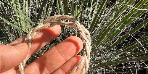 Make Your Own Yucca Fiber Twine