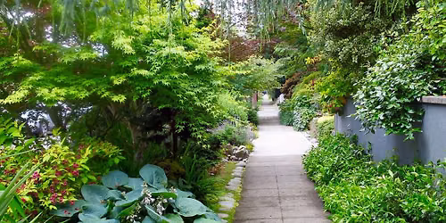Renovate and Prune the Overgrown Landscape (in-person)