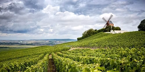 Balade en Champagne 