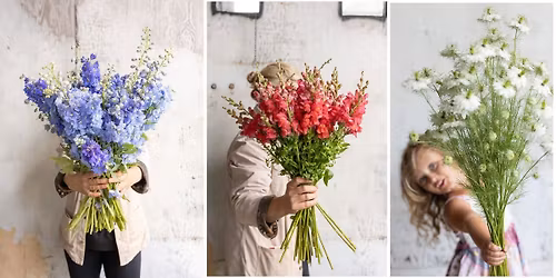 Bloom Weekend at Rooted Flowers | Buy 2, Get 1 Free