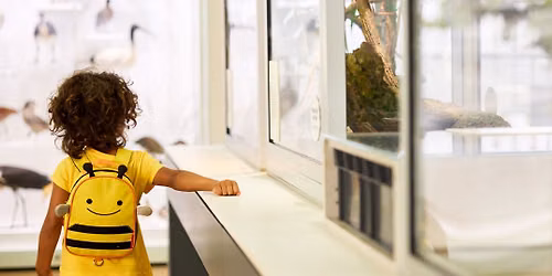 Kurilpa Kids Discovery Tour
