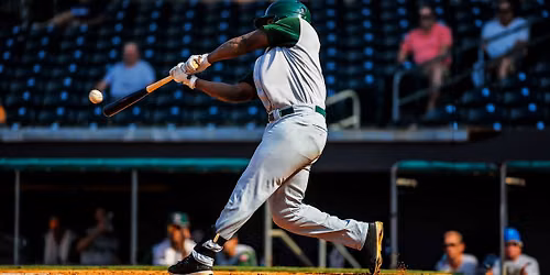 Dayton Dragons at Fort Wayne TinCaps