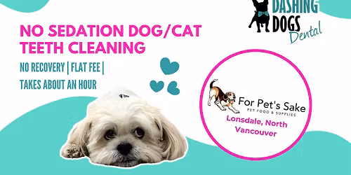 No Sedation Pet Teeth Cleaning Event -North Vancouver Lonsdale For Pet's Sake 