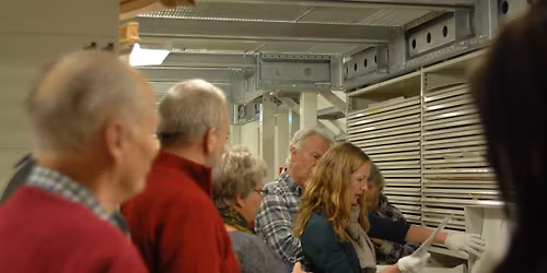 Det \u00e5pne arkivet