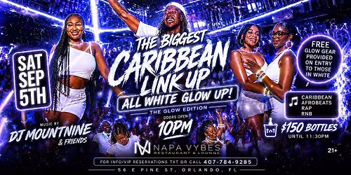 THE BIGGEST CARIBBEAN LINKUP AT NAPA VYBES | SOCA, DANCEHALL, KONPA, & MORE