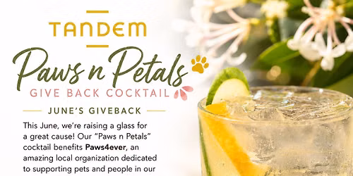 Paws n Petals Cocktail Fundraiser at Tandem