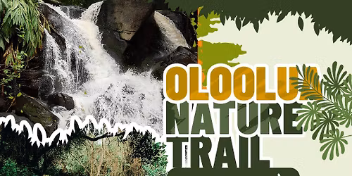 WordPress Nairobi Oloolua Nature Trail (Leisure & Photo Walk)