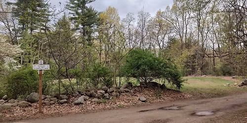 Nature Workshop- "Trees and Shrubs" with Dave Lovejoy