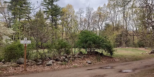 Nature Workshop- "Trees and Shrubs" with Dave Lovejoy