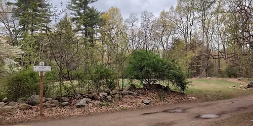 Nature Workshop- "Trees and Shrubs" with Dave Lovejoy