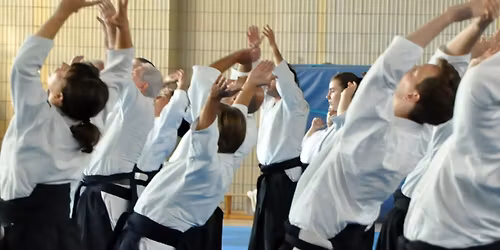 Aikido Summer Berlin 2026