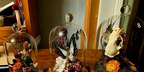 Terrarium of Curiosities Workshop in Coeur d'Alene, ID