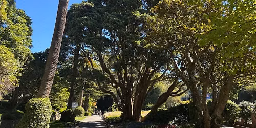 Heritage Trees in the Wellington Botanic Garden - Guided Walk