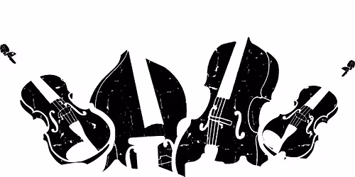 LVS Academy Orchestra Inaugural Concert