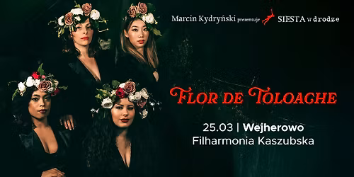 SIESTA W DRODZE! FLOR DE TOLOACHE