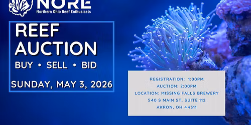 NORE Reef Auction