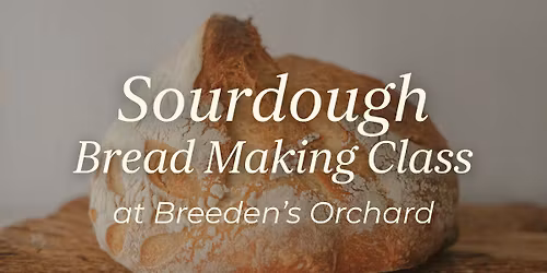 Sourdough Bread Making Class