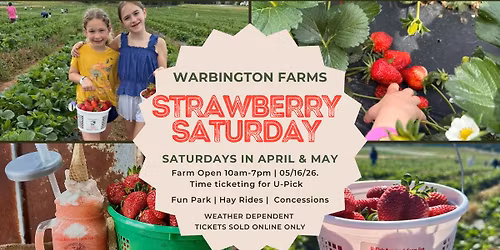 Strawberry Saturdays