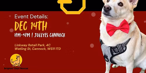 Jollyes Christmas Fundraiser