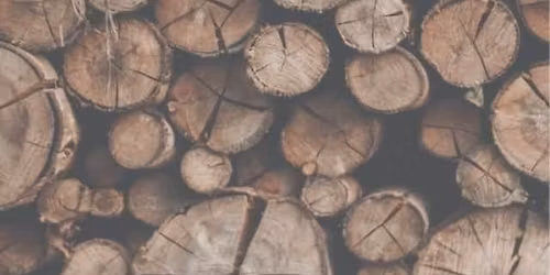 Holzversteigerung Rodgau-Dudenhofen