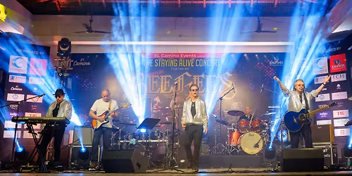 PINEWOOD LIVE 2026 - BOOTLEG BEEGEES 