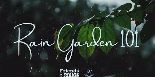 REGISTRATION REQUIRED - Rain Garden 101
