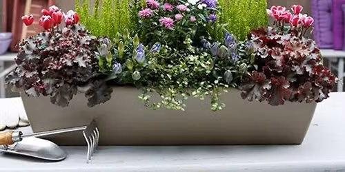 Cr\u00e9er sa jardini\u00e8re de saison