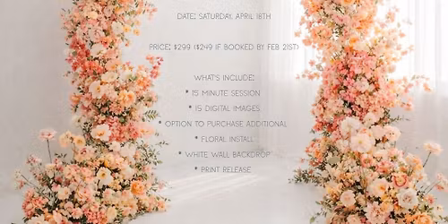 Motherhood Mini Sessions 