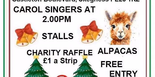 Christmas Fundraising Christmas craft Market