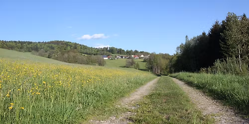 Botanische Wanderung von R\u00f6hrnbach nach Waldkirchen
