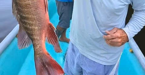 Fishing 101 Seminar with Captain Juan \u2013 Thursday June 25th, 2026