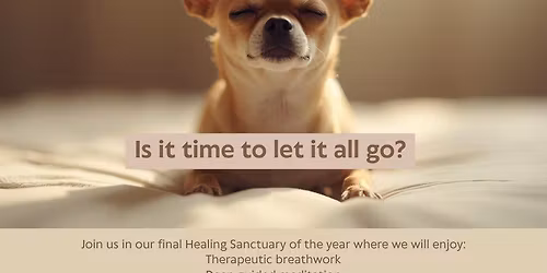 Healing Sanctuary - Letting it Go
