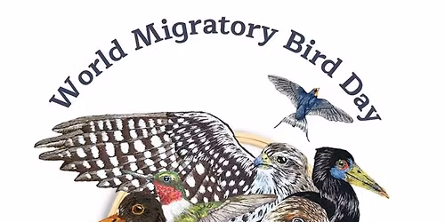 World Migratory Bird Day