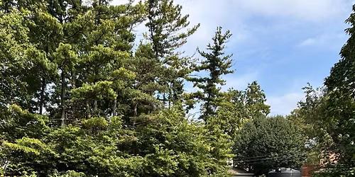 Stay Active This Fall! ~ Garden Close Down Service Day