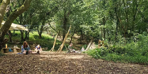Woodland Workshop: Introduction to Forest Bathing at Poole Farm