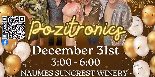 The Pozitronics' NYE Party at Naumes!!