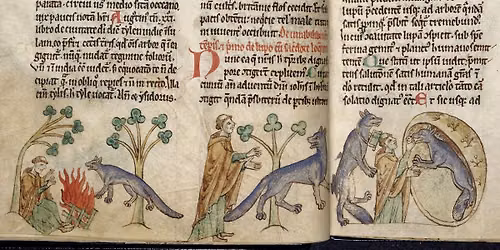 Terror Talks: Wolfland - Wolves & Werewolves of Ireland (National Werewolf Day)