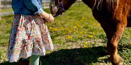 Preschool on the Farm - Pony Pals Preschool Meet Ups at Equine Connection Center