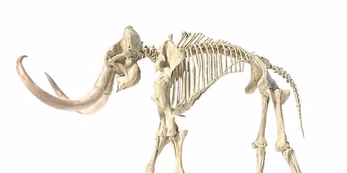Prehistoric Creatures (That Aren't Dinosaurs)