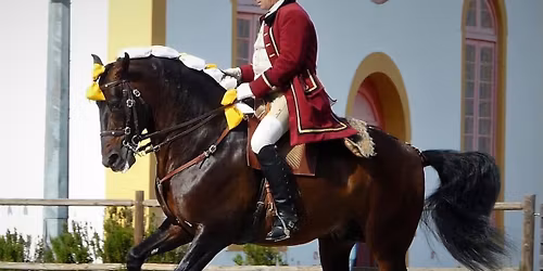 Rui Almeida Lessons - Sept 2026