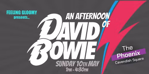 An Afternoon of David Bowie - Sun 10th May, 1pm-4:30pm- Over 1\/4 sold already