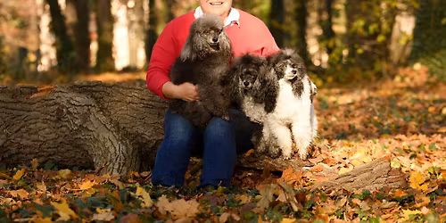 P\u0159\u00edm\u011bstsk\u00fd t\u00e1bor dogdancingu s Ani\u010dkou \u0158\u00edhovou